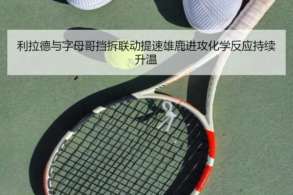 利拉德与字母哥挡拆联动提速雄鹿进攻化学反应持续升温